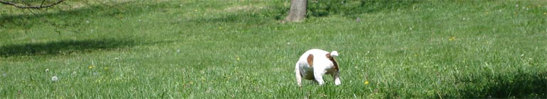 Gay No-cost Text Video Chat Web Pages header image 2 Gay No-cost Text Video Chat Web Pages header image 2